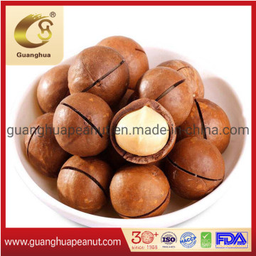 Low Calorie Macadamia Nuts with Factory Price